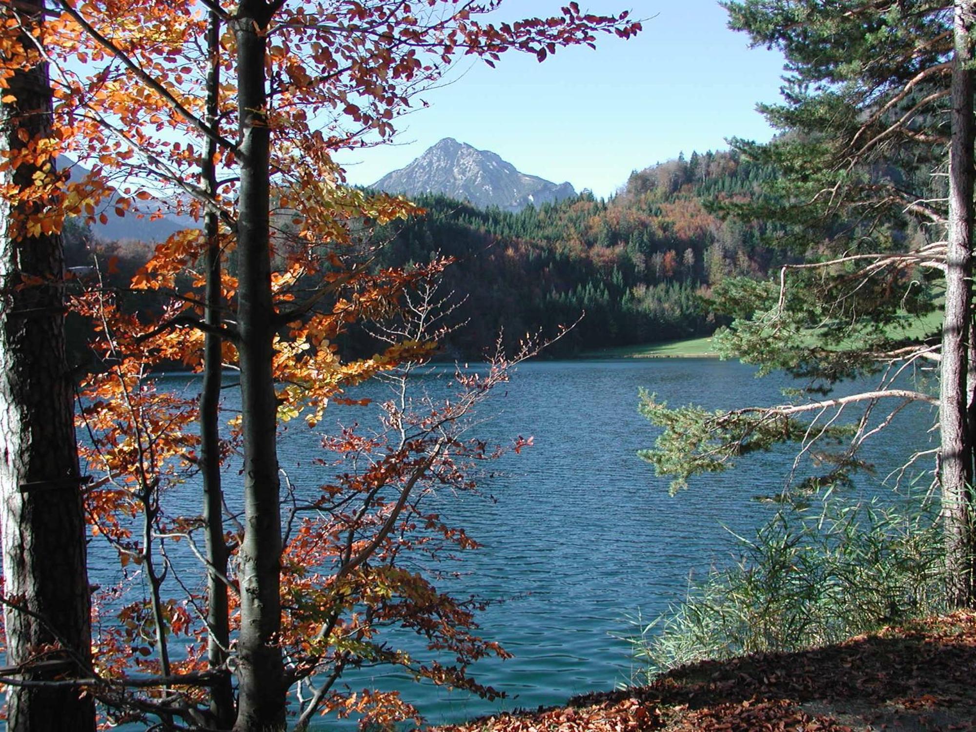 Die Lilie / Hotel Garni Reutte Exterior photo